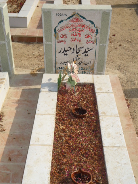 16024 – Syed Sajjad Haider