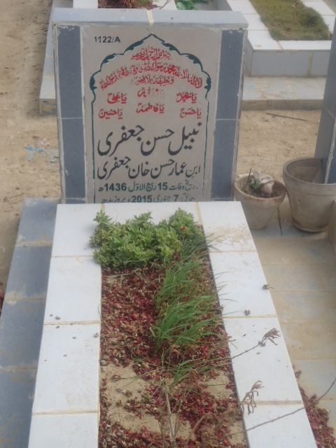 11122 – Nabeel Hasan Jaffery
