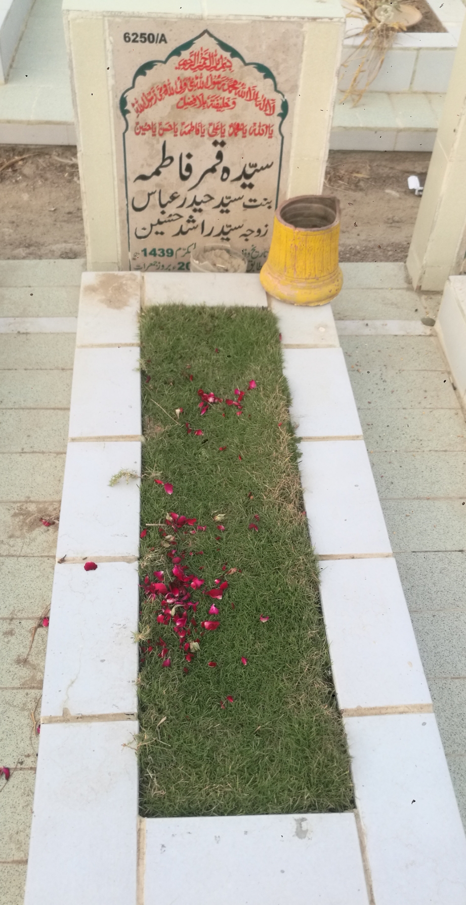16250 – Syeda Qamar Fatima
