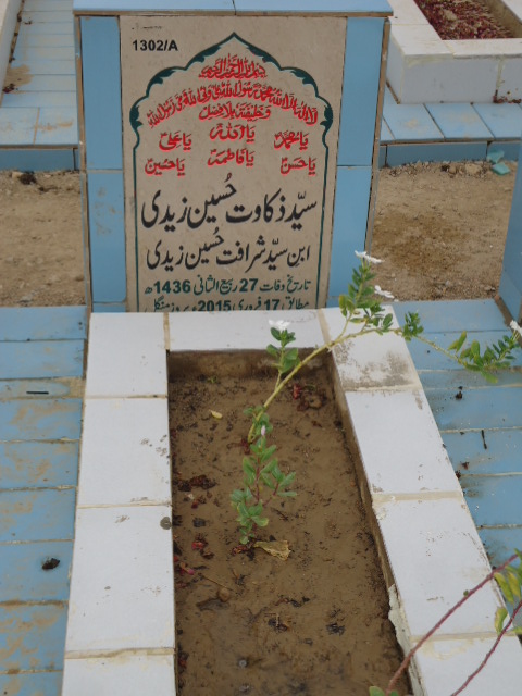 11302 – Syed Zakawat Hussain Zaidi