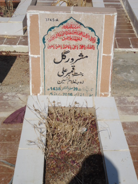 13745 – Mashroor Gul