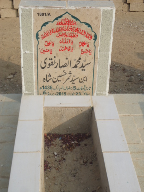 11801 – Syed Muhammad Ansar Naqvi