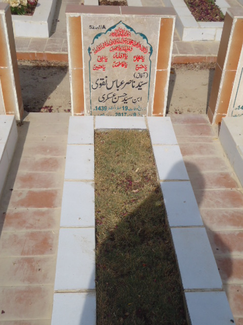 15257 – Syed Nasir Abbas Naqvi