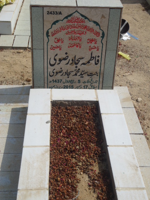 12433 – Fatima Sajjad Rizvi