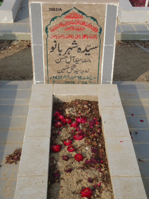 13062 – Syeda Shehar Bano