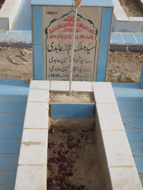 11406 – Syeda Malka Ijaz Abidi