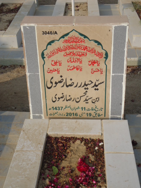 13046 – Syed Haider Raza Rizvi