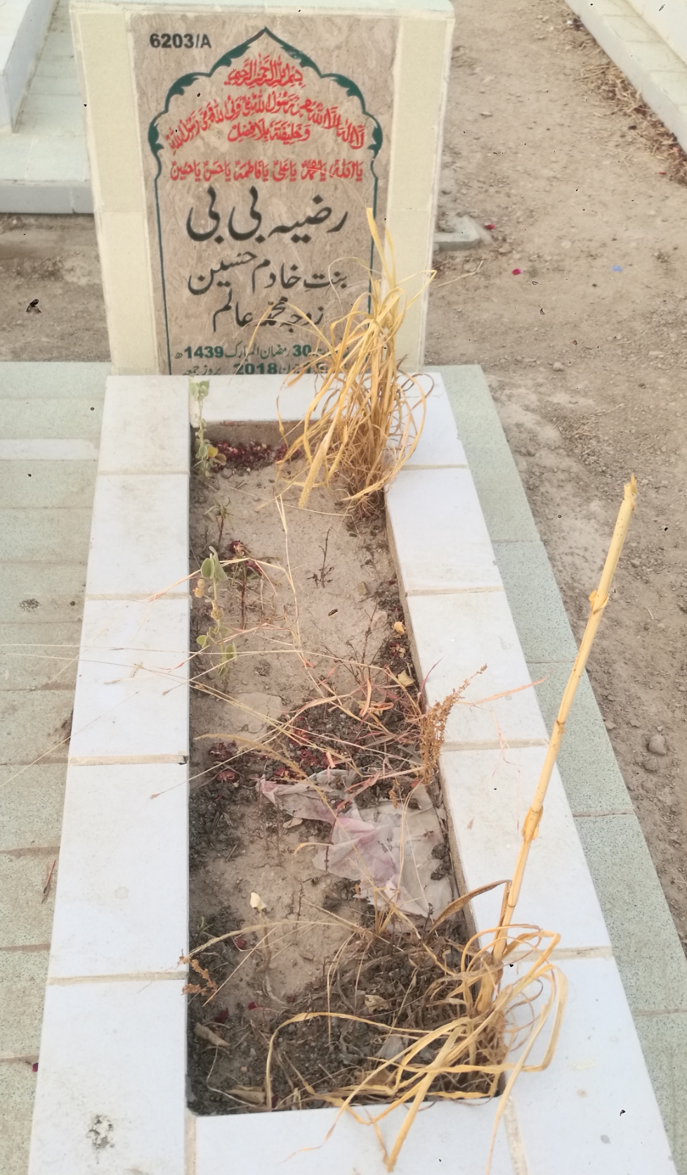 16203 – Razia Bibi