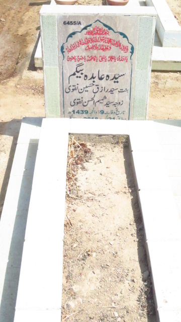 16455 – Syeda Abidi Begum