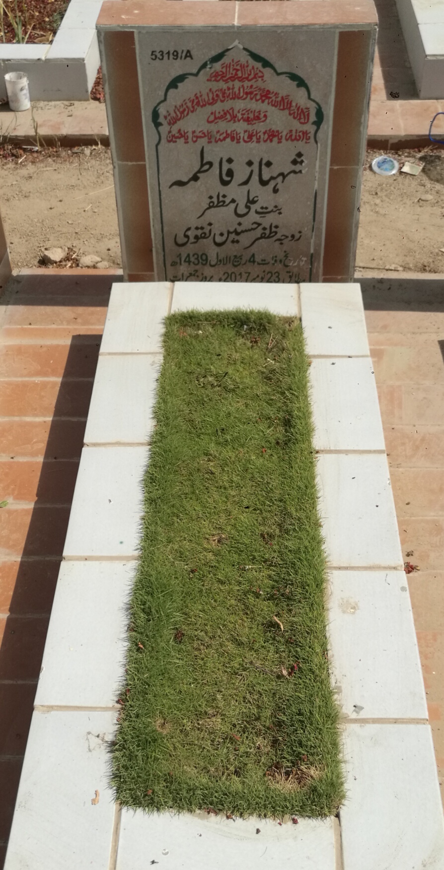 15319 – Shehnaz Fatima