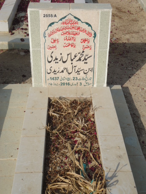 12658 – Syed Muhammad Abbas Zaidi