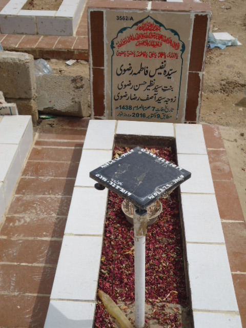 13562 – Syeda Nafees Fatima Rizvi