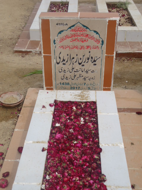 14106 – Syeda Noureen Zehra Zaidi