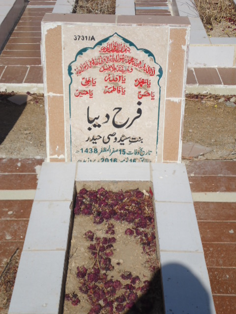 13731 – Farah Deeba