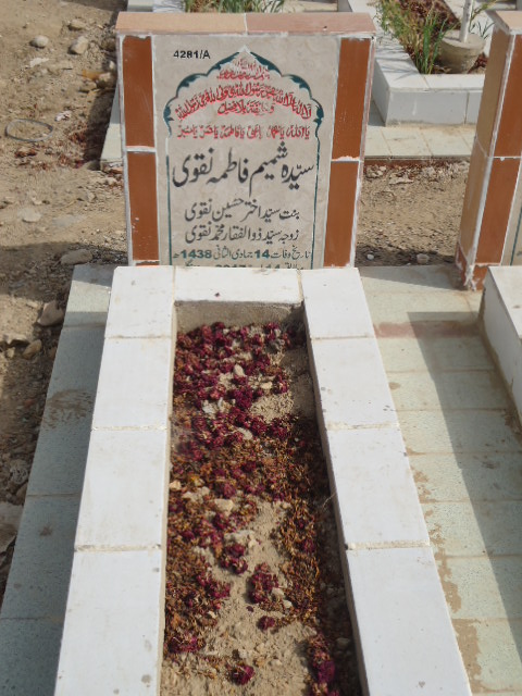 14281 – SYeda Shamim Fatima Naqvi