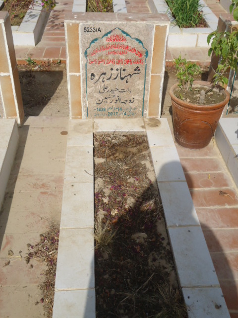 15233 – Shehnaz Zehra