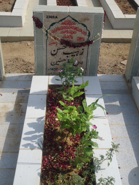 12365 – Zohaib Hassan