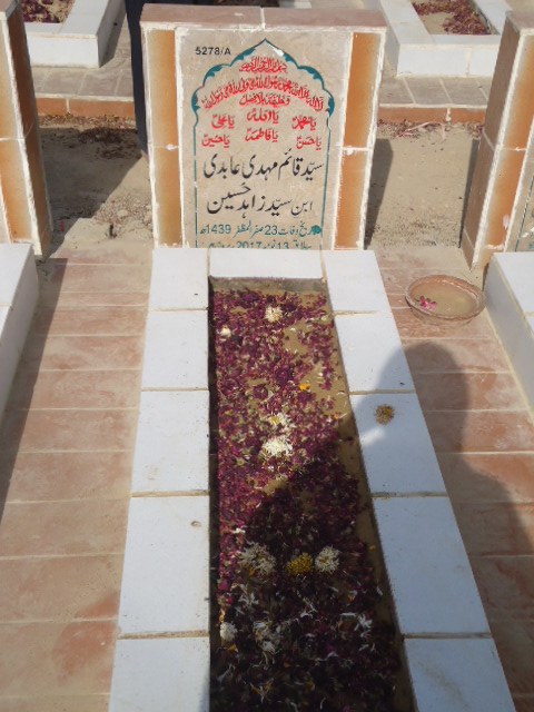 15278 – Syed Qaim Mehdi Abidi