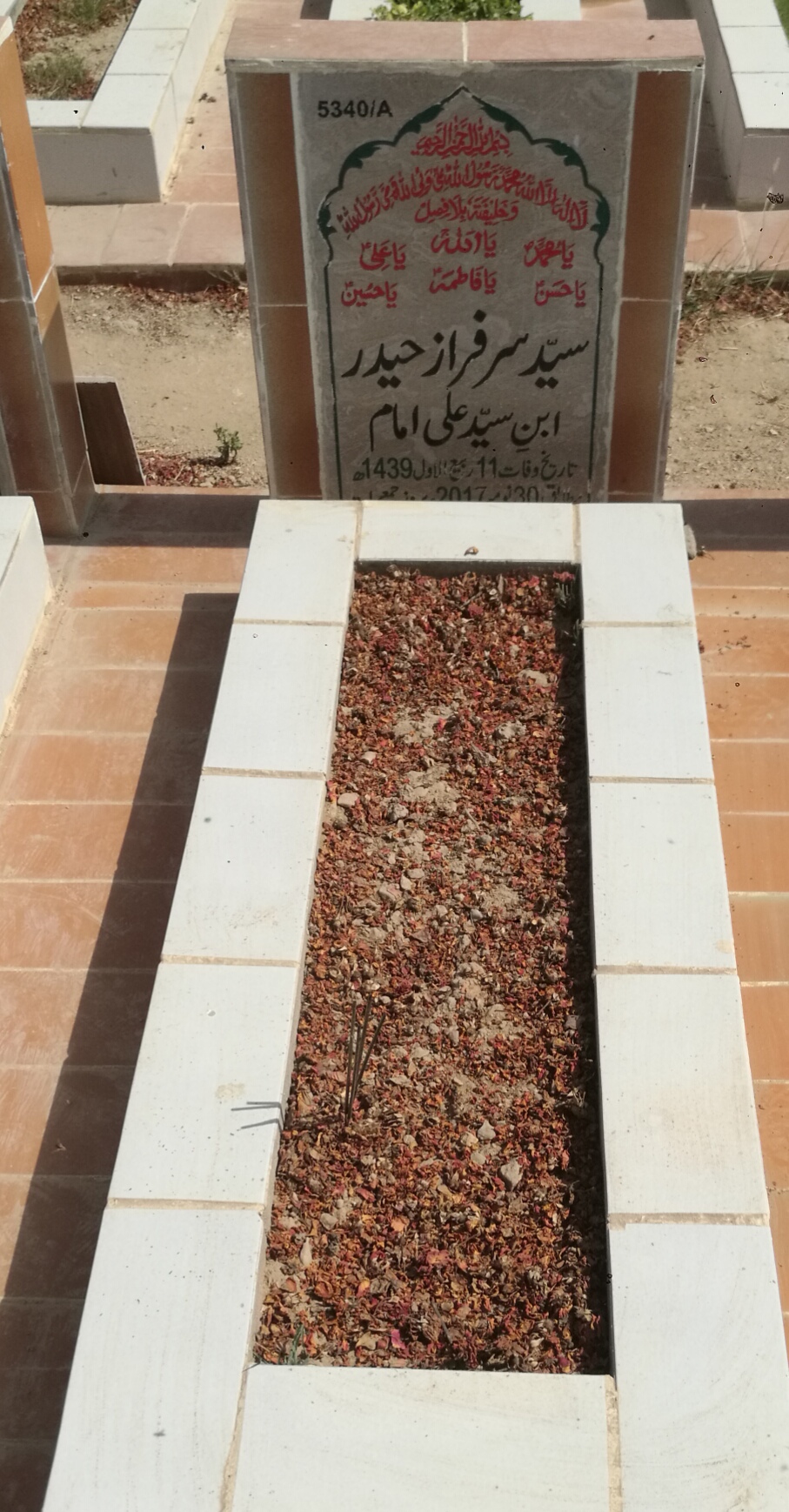 15340 – Syed Sarfaraz Haider