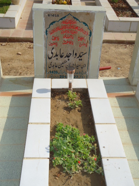 16141 – Syed Wajid Abidi