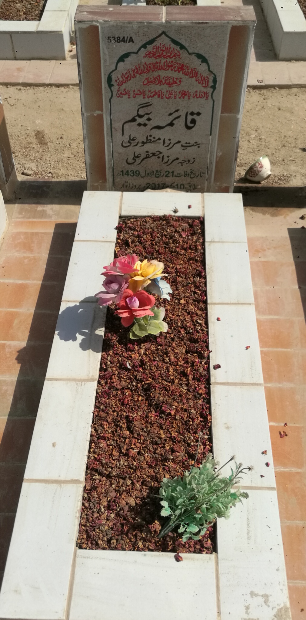 15384 – Qaima Begum