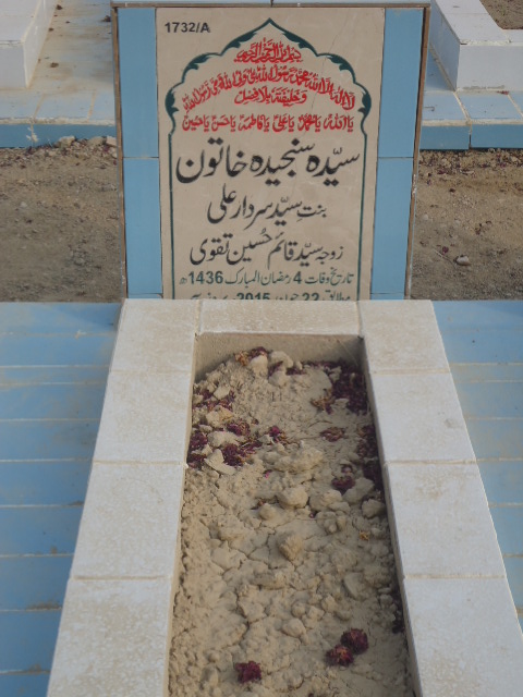 11732 – Syeda Sanjeeda Khatoon