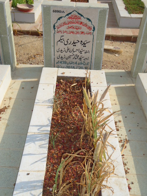 16098 – Syeda Haideri Begum