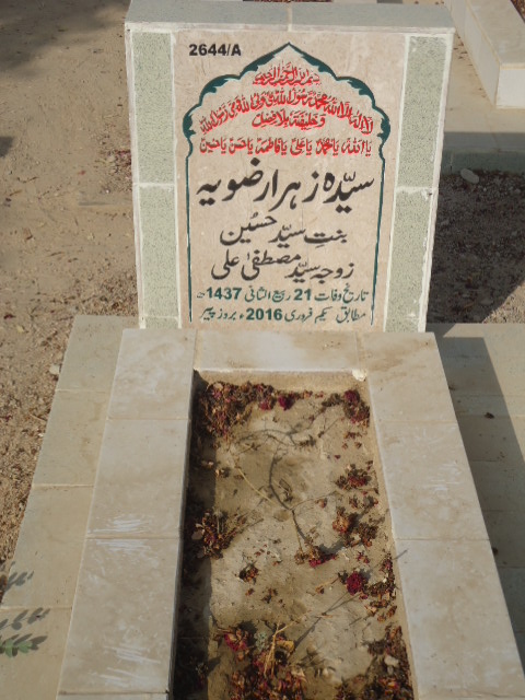 12644 – Syeda Zehra Rizvia