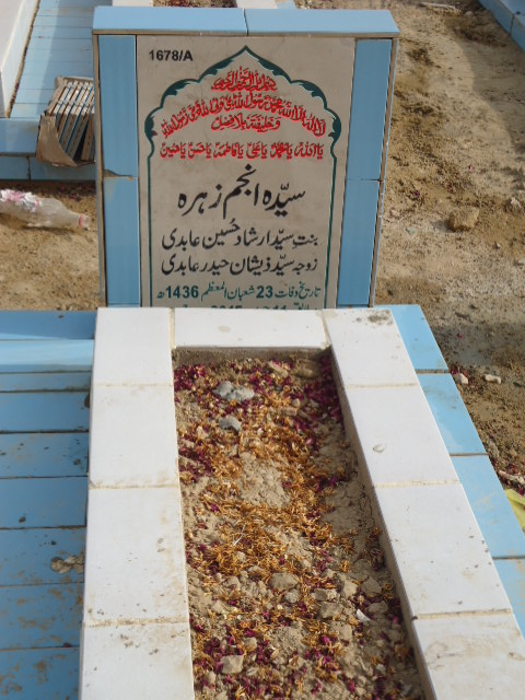 11678 – Syeda Anjum Zehra