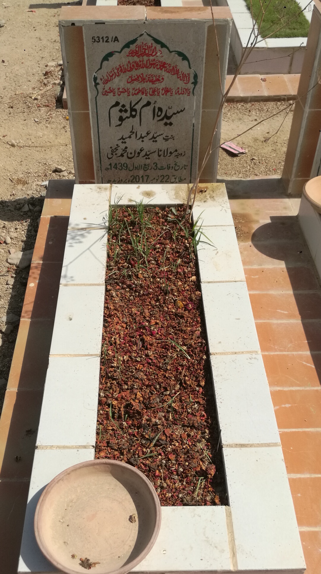 15312 – Syeda Ummay Kulsoom