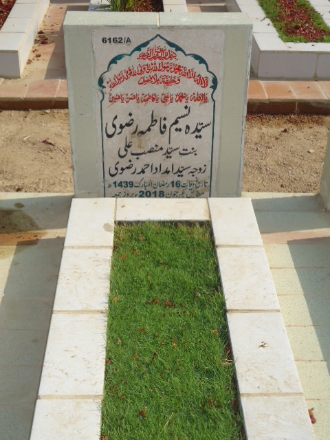 16162 – Syeda Naseem Fatima Rizvi