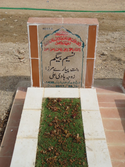 14593 – Naseem Begum