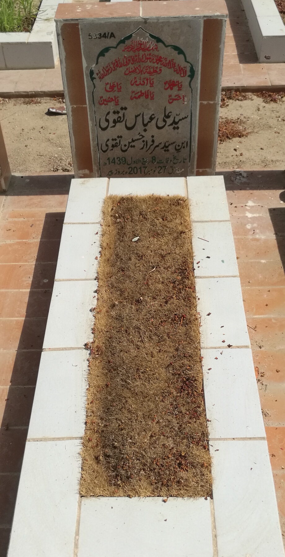15334 – Syed Ali Abbas Taqvi