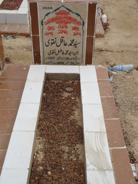 13532 – Syed Muhammad Aqil Naqvi