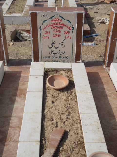 13504 – Raiees Ali