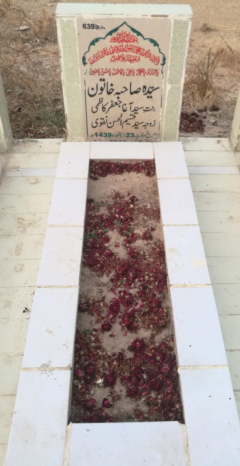 16398 – Syeda Sahiba Khatoon