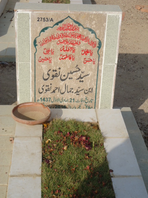 12753 – Syed Hussain Naqvi