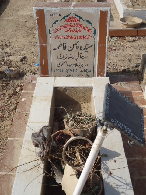 13463 – Syeda Chaman Fatima