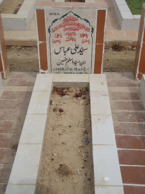 13976 – Syed Ali Abbas
