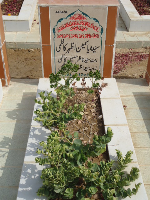 14434 – Syeda Yasmeen Azhar Kazmi
