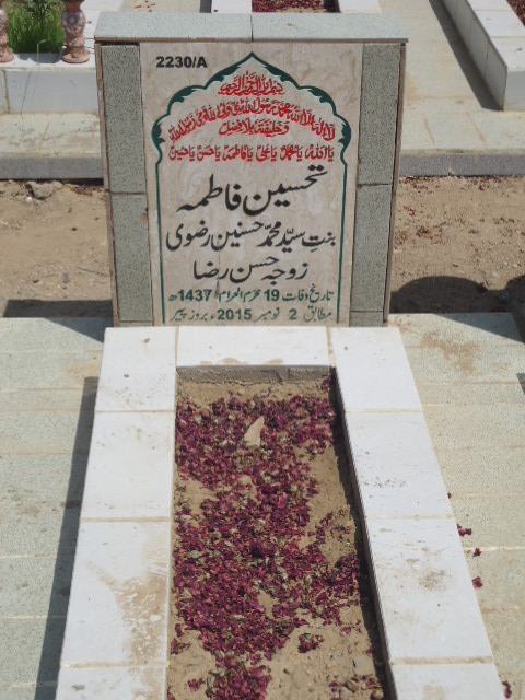 12230 – Tehseen Fatima