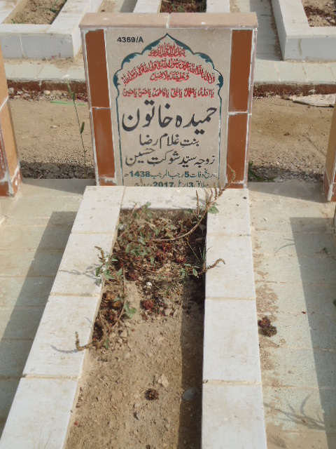 14369 – Fehmeeda Khatoon