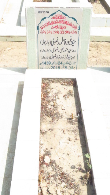 16511 – Syeda Ghayur Fatima Rizvi (Jarchvi)