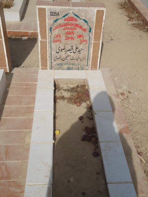 15225 – Syed Ali Qaisar Rizvi