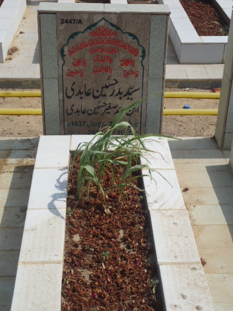 12447 – Syed Badar Hussain Abidi