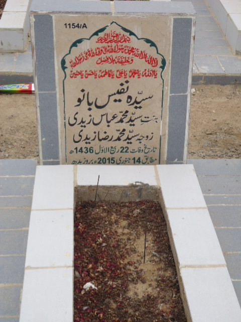 11154 – Syeda Nafees Bano