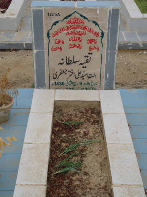 11231 – Taqia Sultana