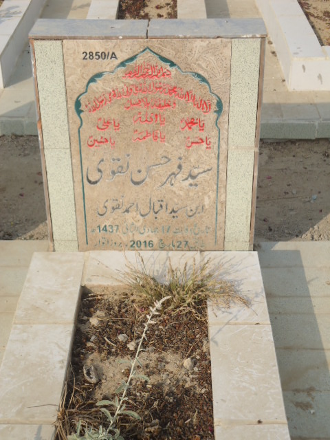 12850 – Syed Faher Hassan Naqvi