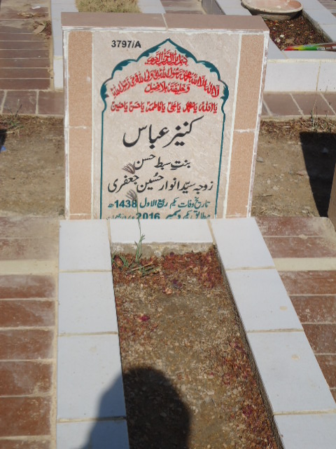 13797 – Kaneez Abbas