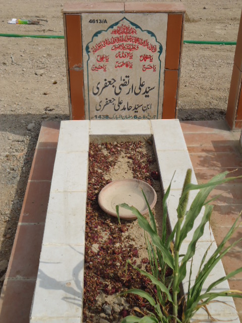 14613 – Syed Ali Irteza Jaffery